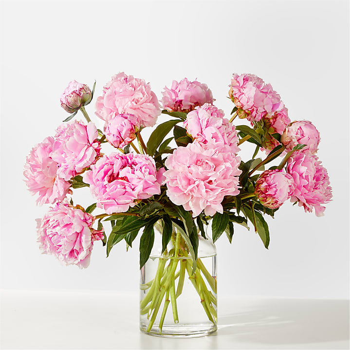 product image for Fresh Peony Bouquet