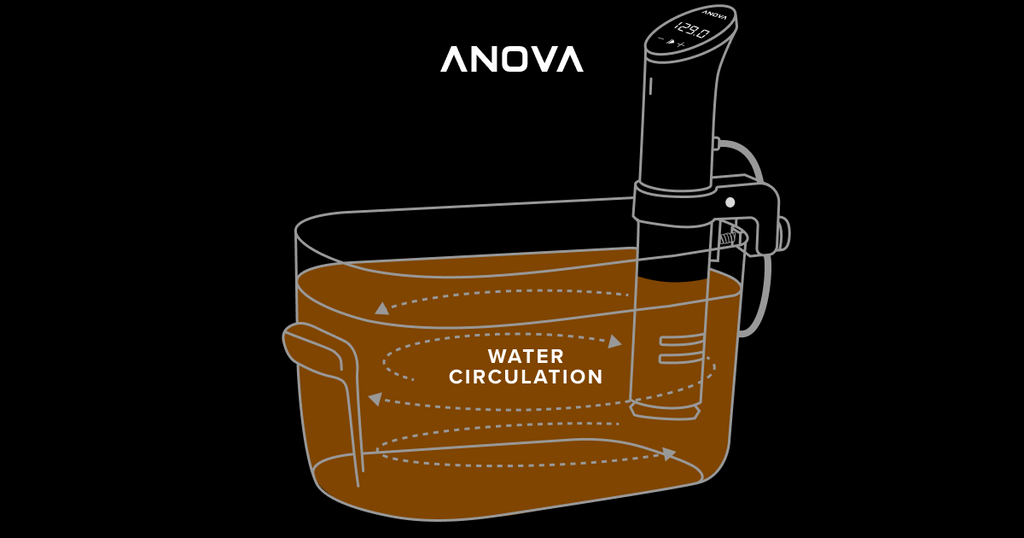 Diagram of water being circulated within a convainer by an Anova Precision Cooker sous vide.